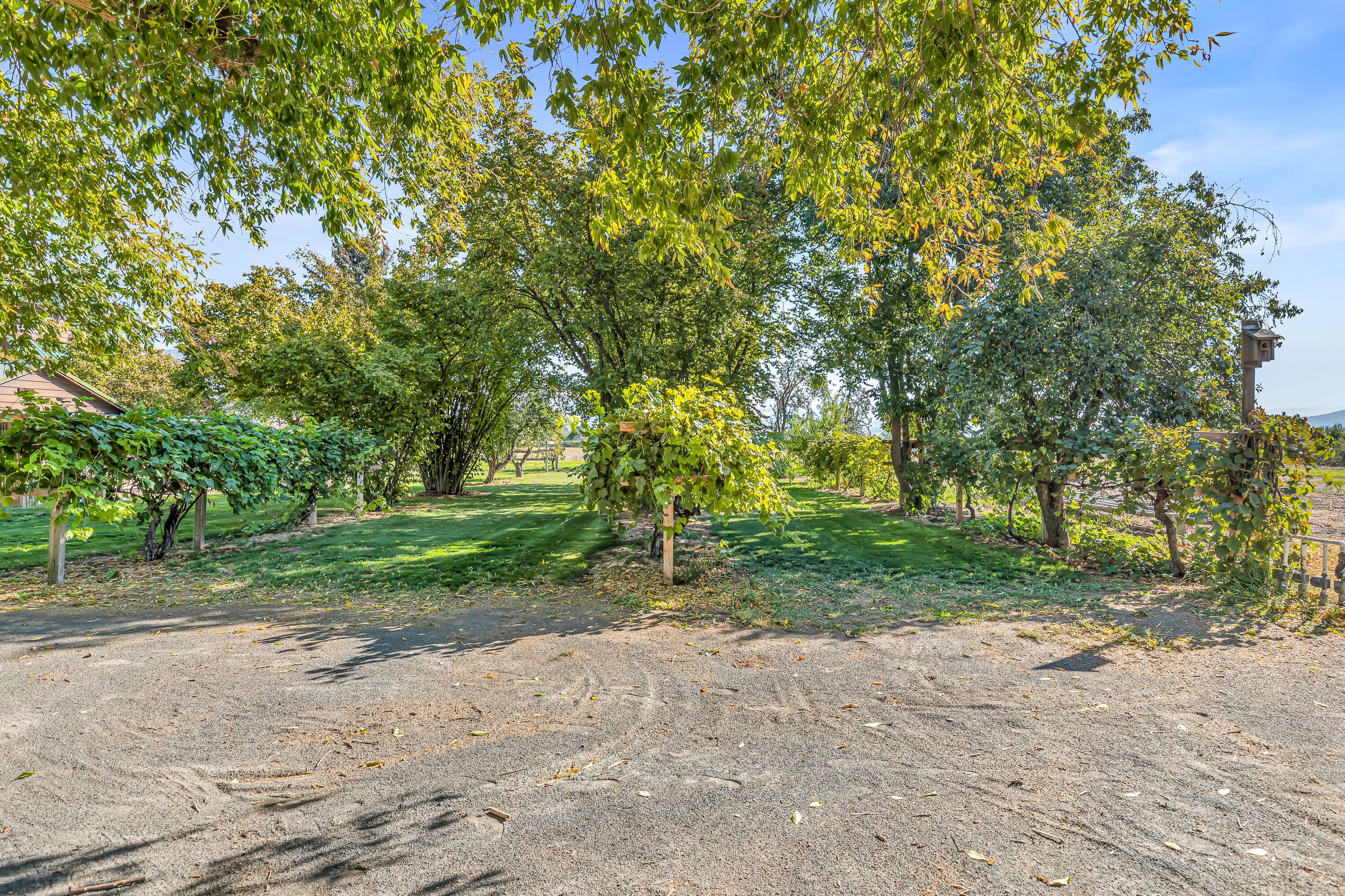 1593 Pioneer Road Talent, OR 97540 - Photo 45 of 50 1593 Pioneer Road, Talent, OR 97540