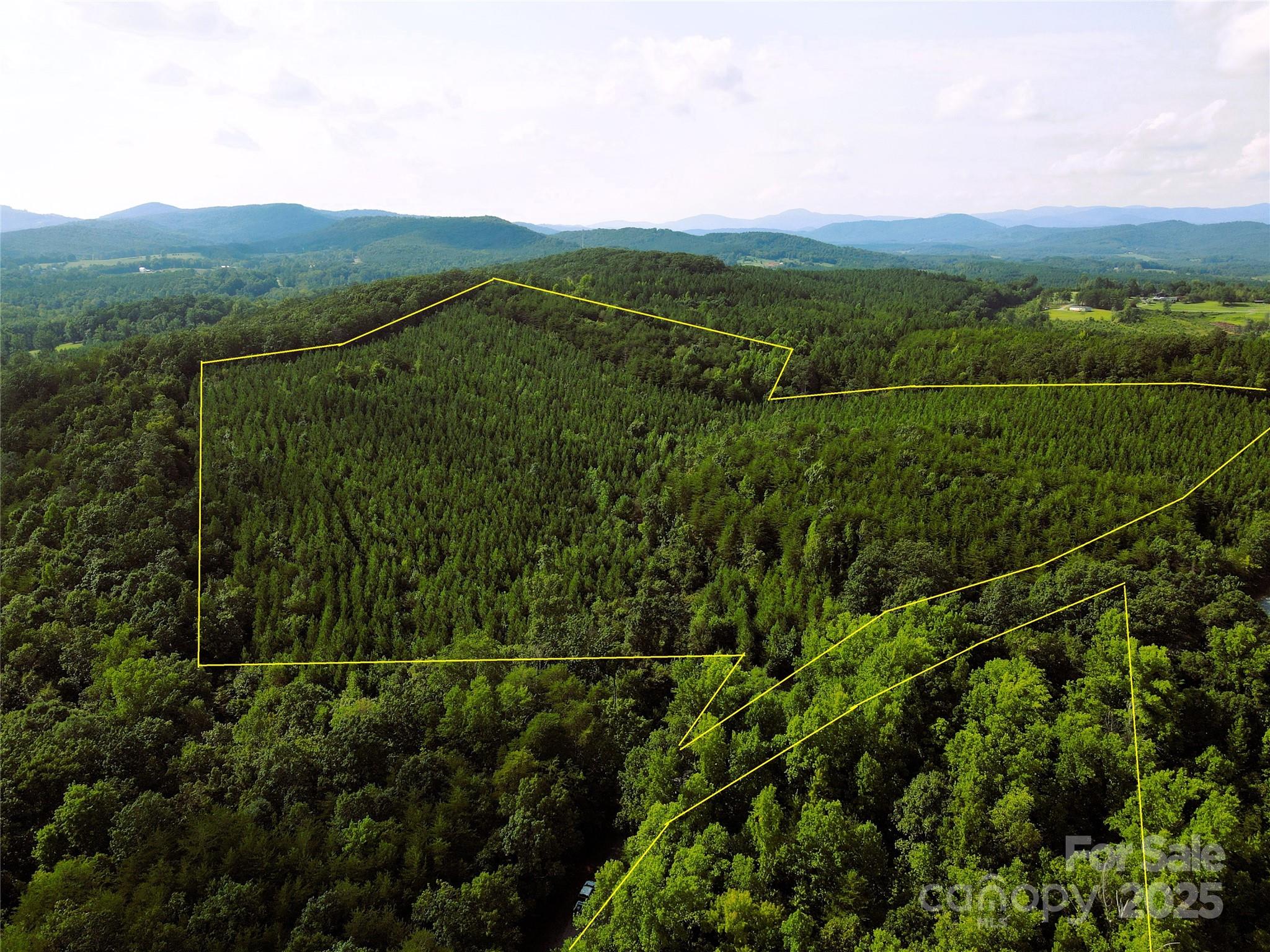 0 Irvin Road Ellenboro, NC 28040 - Photo 13 of 29 Gallery Image 13
