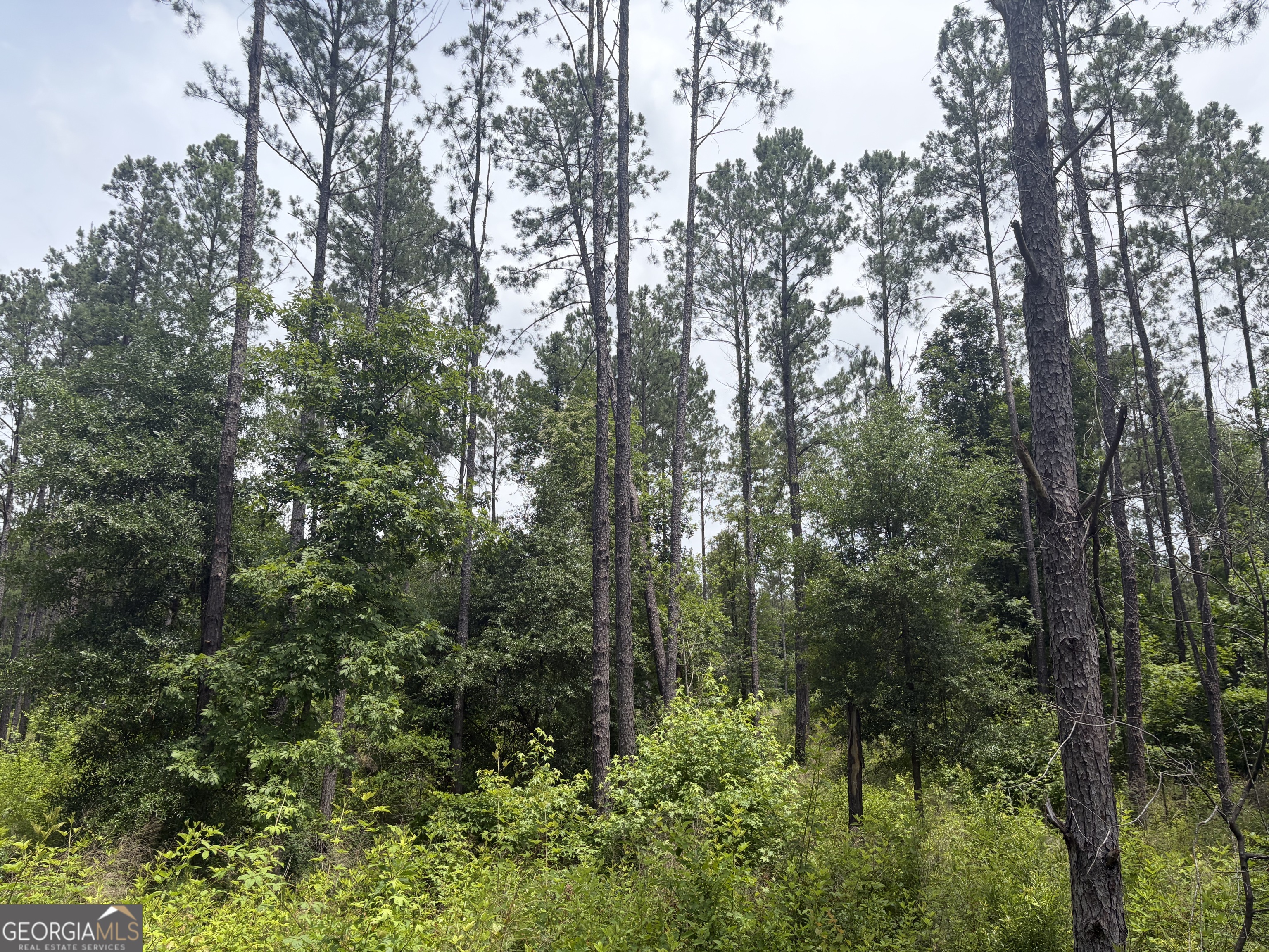 3 Sunhill Grange Road Sandersville, GA 31018 - Photo 5 of 11