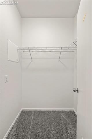 11927 Rodez Grove Peyton, CO 80831 - Photo 18 of 34 Walk in closet with carpet flooring