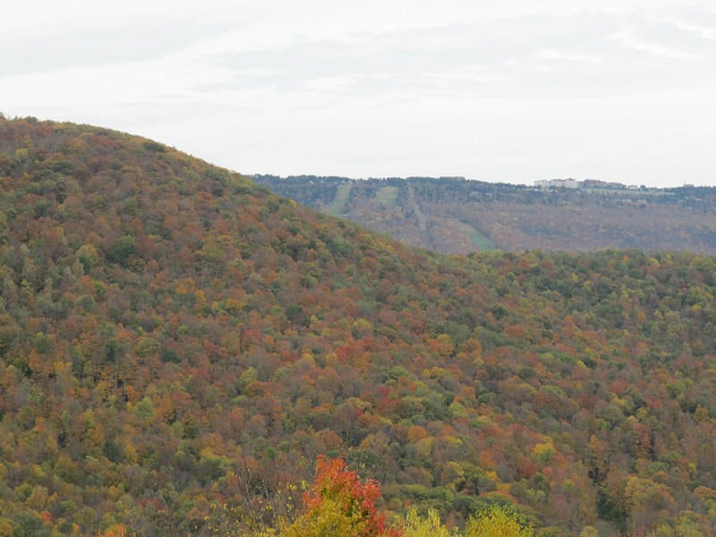21 Headwaters Road Slatyfork, WV 26291 - Photo 5 of 7 Gallery Image 5