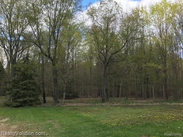 5883 Reynolds Road Imlay City, MI 48444 - Photo 24 of 24 IMG_7821.JPG