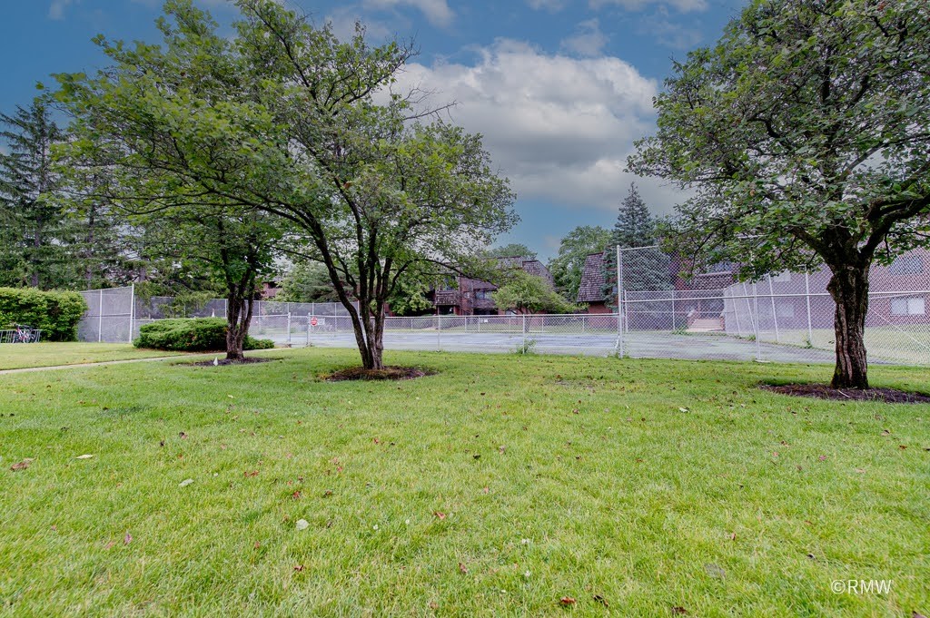 525 Timber Ridge Drive, Unit 306 Carol Stream, IL 60188 - Photo 24 of 26