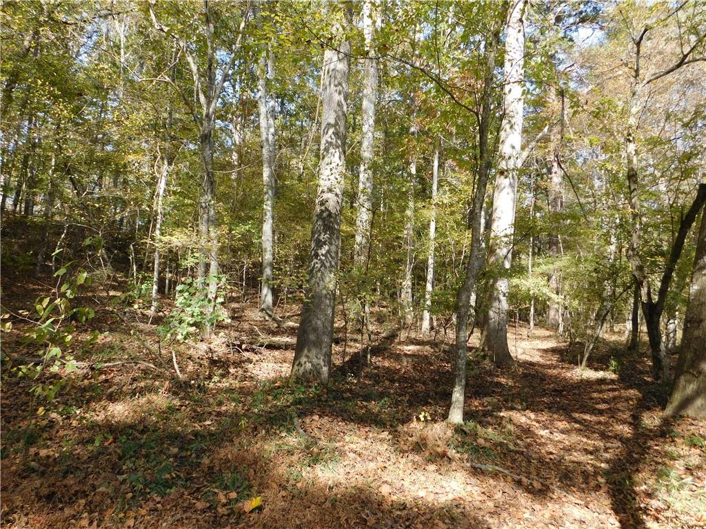 2614 Carolina Court Bethlehem, GA 30620 - Photo 37 of 42 a view of outdoor space and a yard