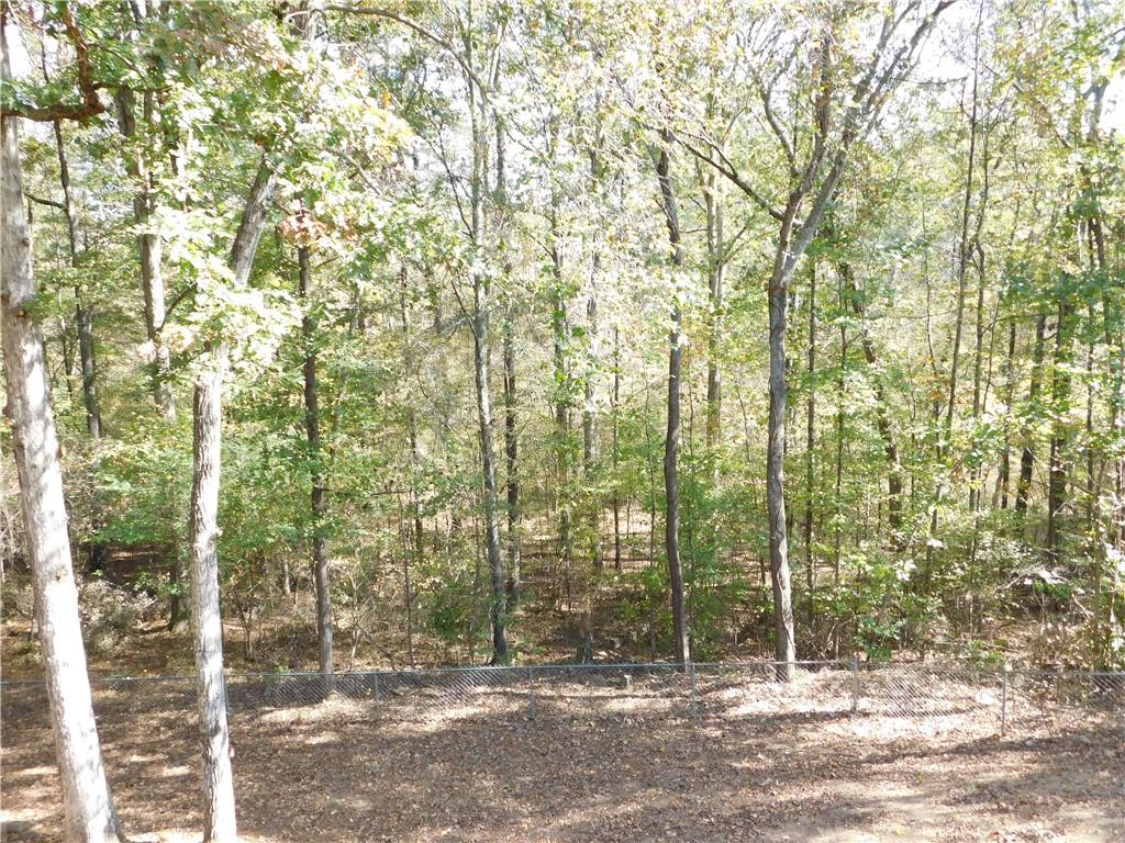 2614 Carolina Court Bethlehem, GA 30620 - Photo 39 of 42 a view of a yard and trees