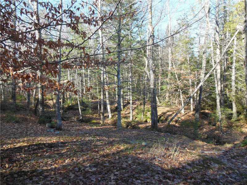 70 Mitchell Road Sangerville, ME 04479 - Photo 3 of 16 Land.