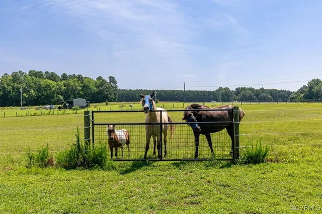 a view of a swimming pool with a yard and large trees
