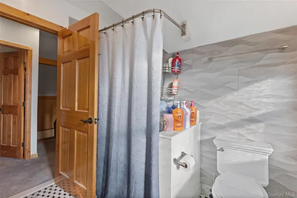 a bathroom with a toilet and a shower