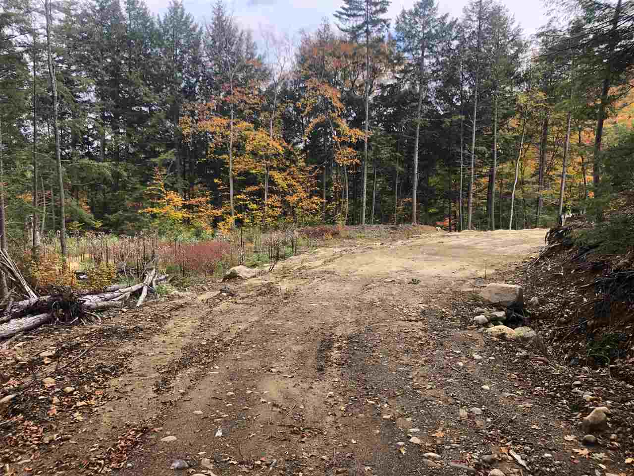 0 Halls Brook Road Rumney, NH 03266 - Photo 3 of 9