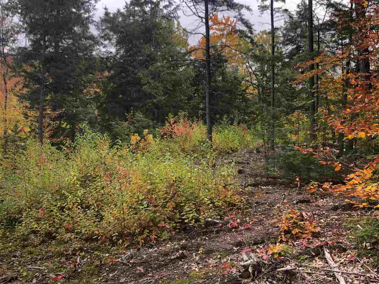 0 Halls Brook Road Rumney, NH 03266 - Photo 5 of 9