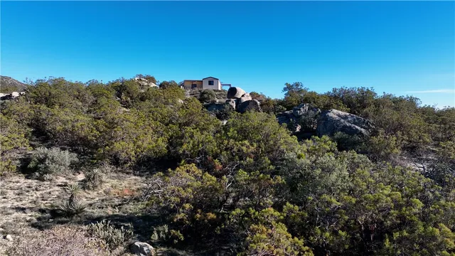 a bed room with furniture and a fireplace
