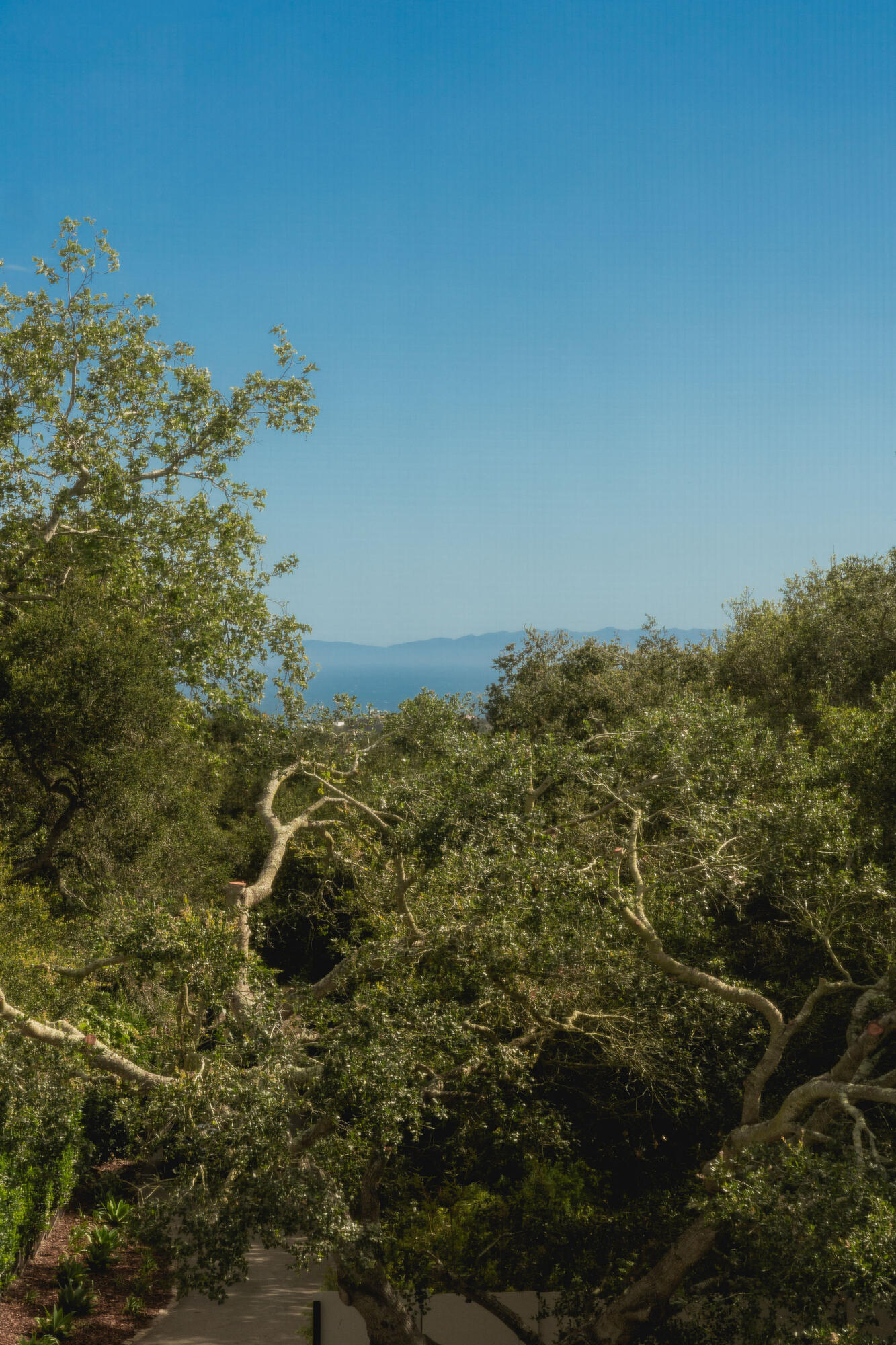 850 Rockbridge Road Montecito, CA 93108 - Photo 11 of 29 Ocean View from Pimary