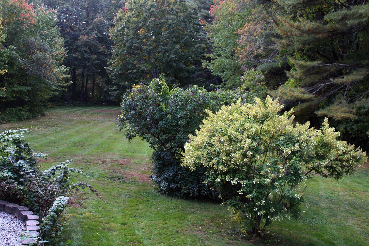 6 Caton Road Raymond, ME 04071 - Photo 55 of 71 Backyard