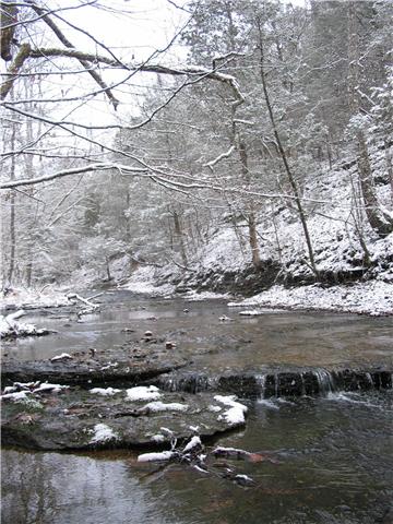 1214 Ben Collier Road Charlotte, TN 37036 - Photo 19 of 20 a view of lake with mountain