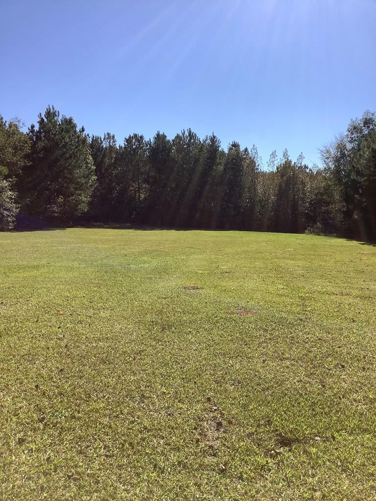 238 Durham Road Washington, GA 30673 - Photo 7 of 26