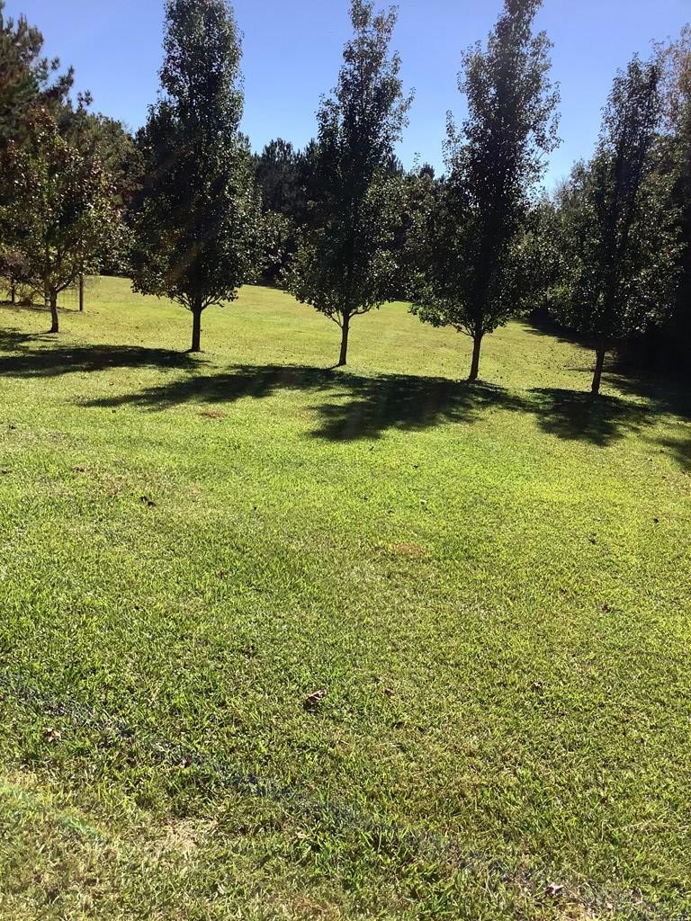 238 Durham Road Washington, GA 30673 - Photo 8 of 26