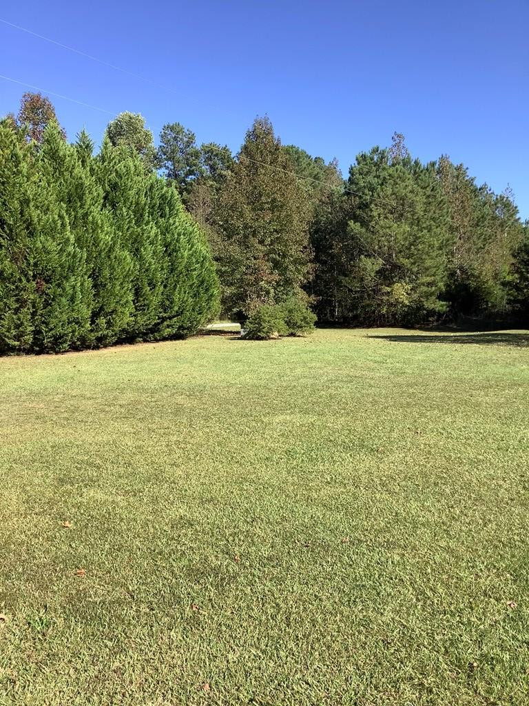 238 Durham Road Washington, GA 30673 - Photo 10 of 26