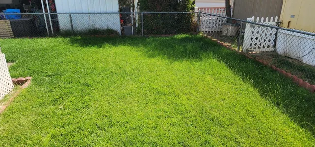 a view of garden from balcony