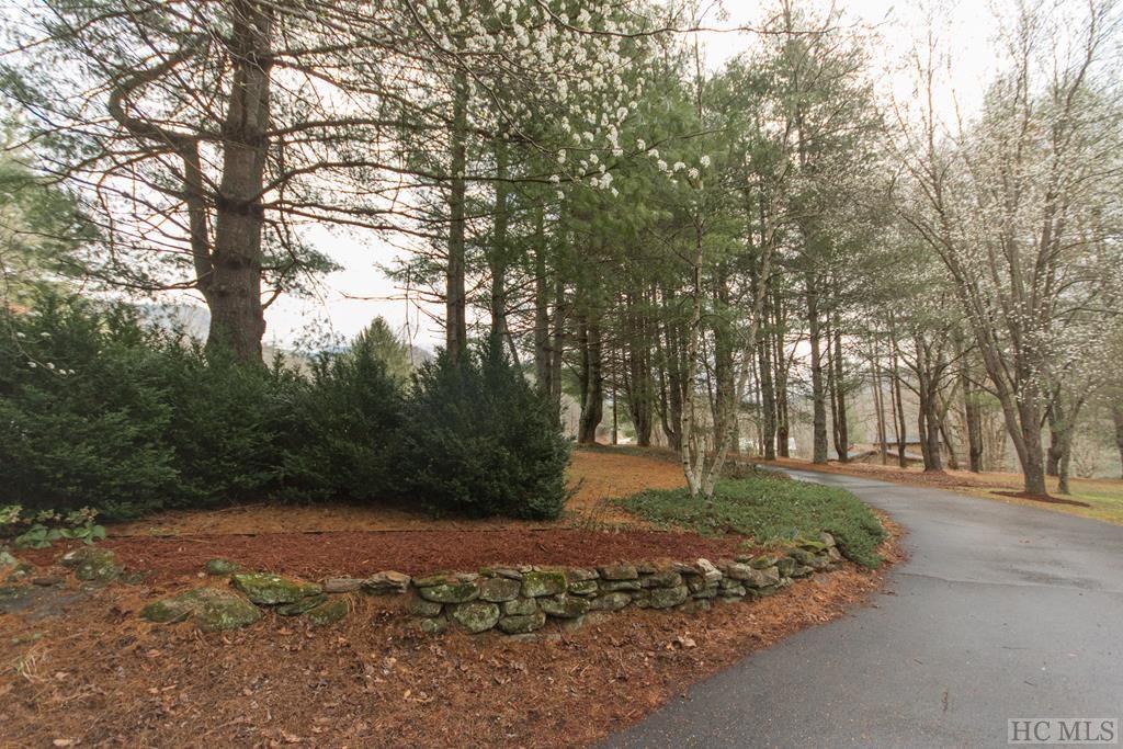 4525 Tessentee Road Franklin, NC 28734 - Photo 9 of 72 Gallery Image 9