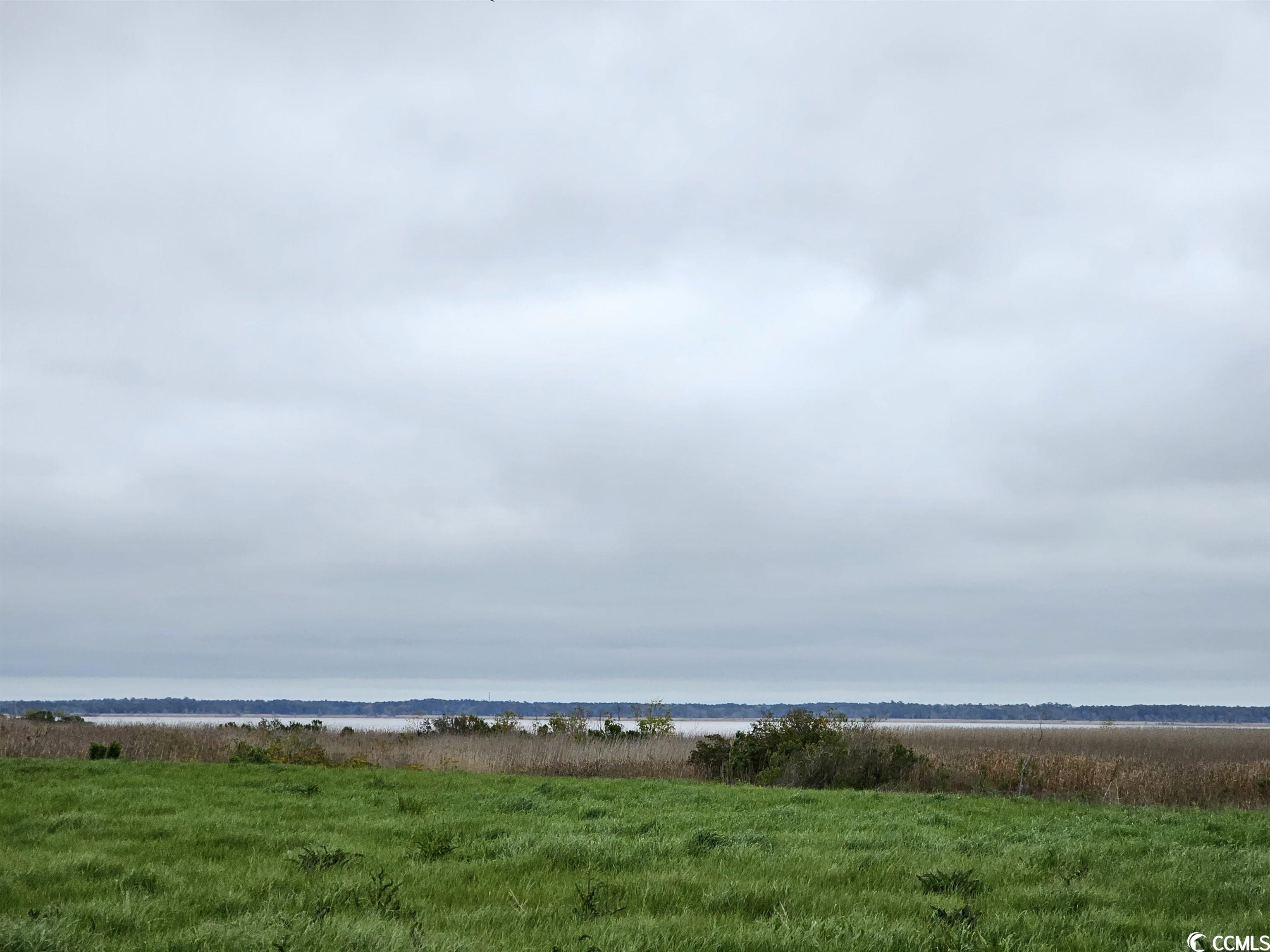 Lot 138 Ferry House Point Georgetown, SC 29440 - Photo 5 of 9 Gallery Image 5
