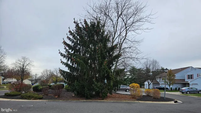 a view of a backyard with trees
