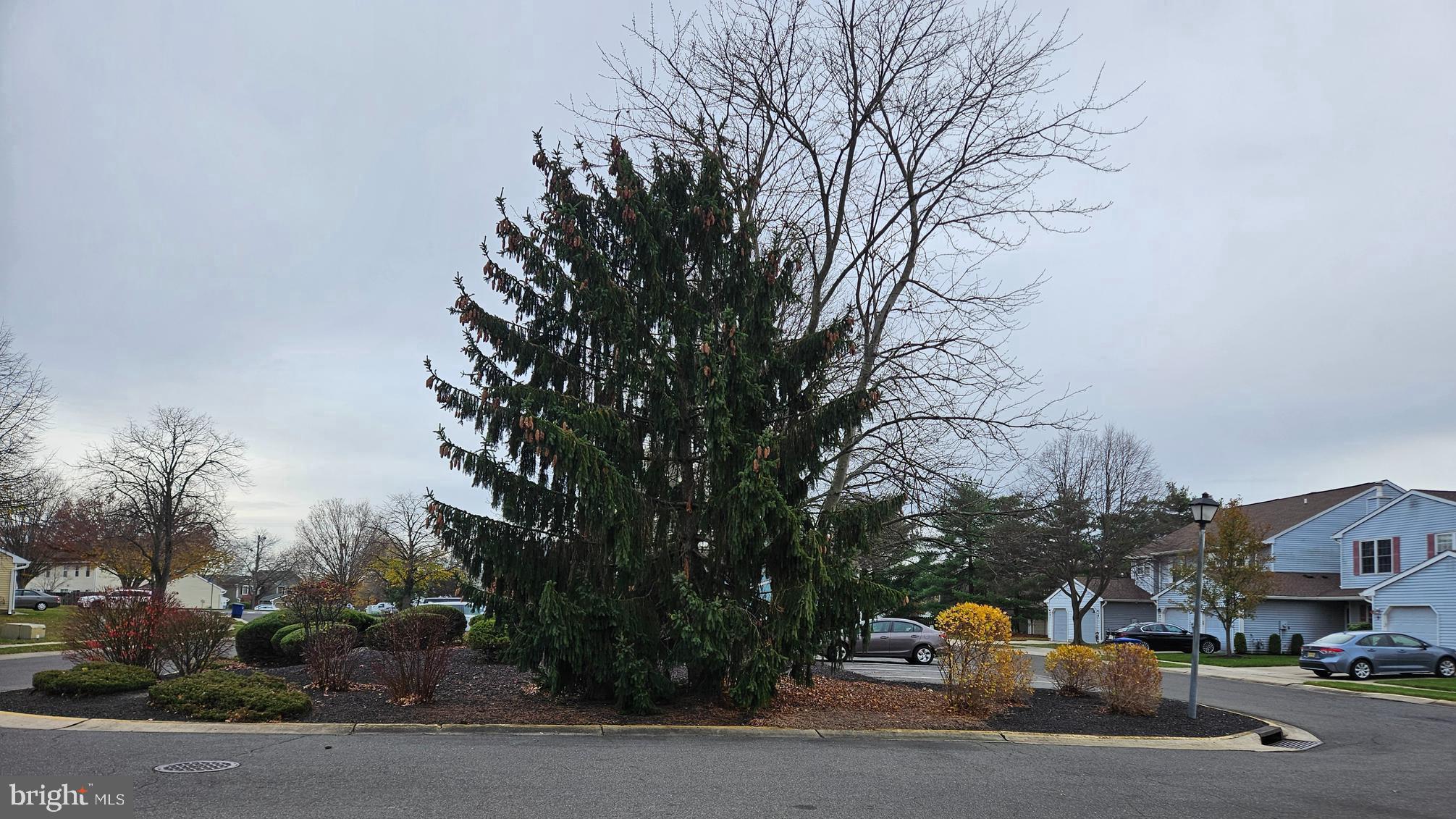 17 Exeter Court Bordentown, NJ 08505 - Photo 15 of 19 a cars parked on the side of a street