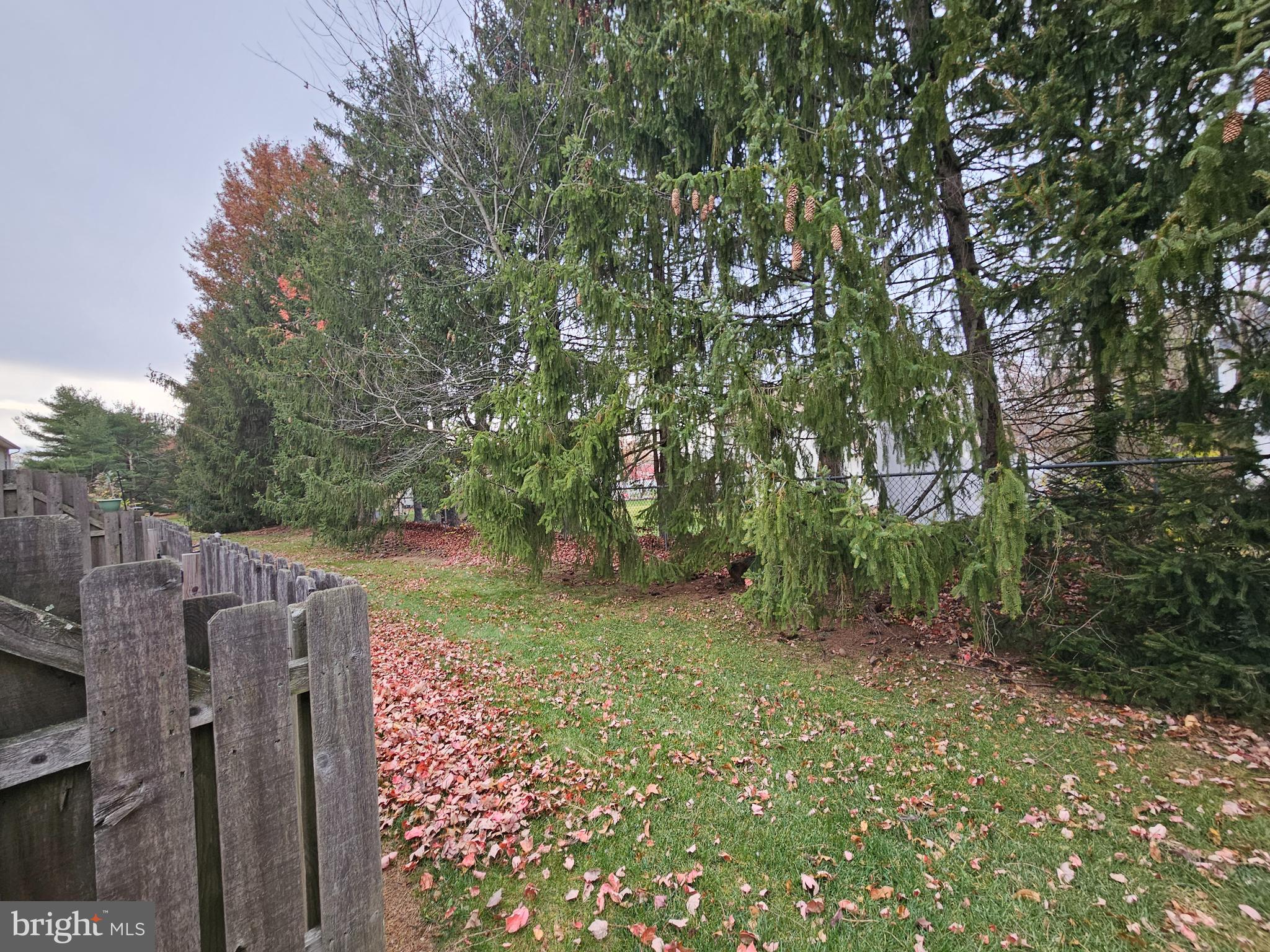 17 Exeter Court Bordentown, NJ 08505 - Photo 17 of 19 a view of a backyard with trees