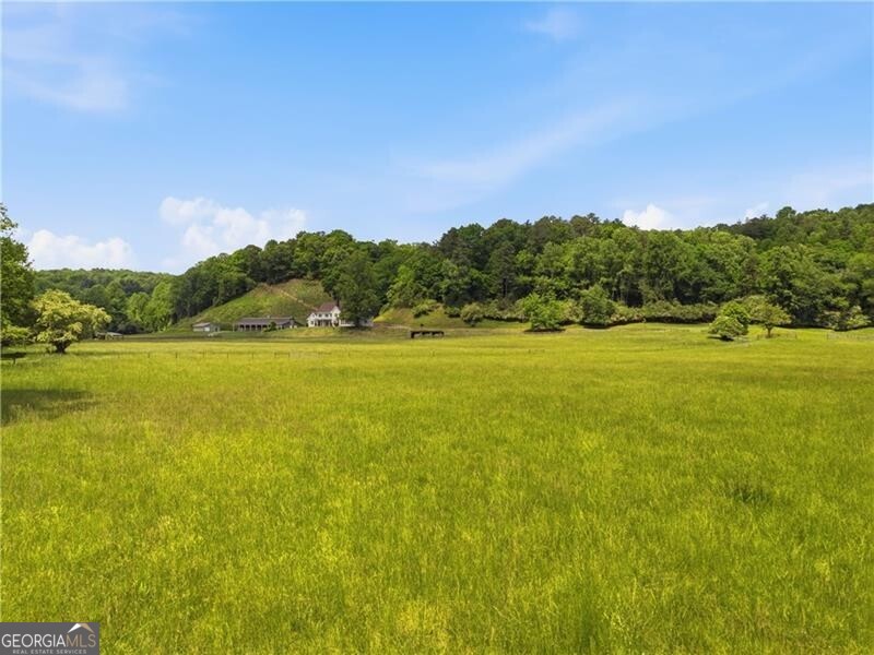 619 Hamp Mill Road Dahlonega, GA 30533 - Photo 107 of 118