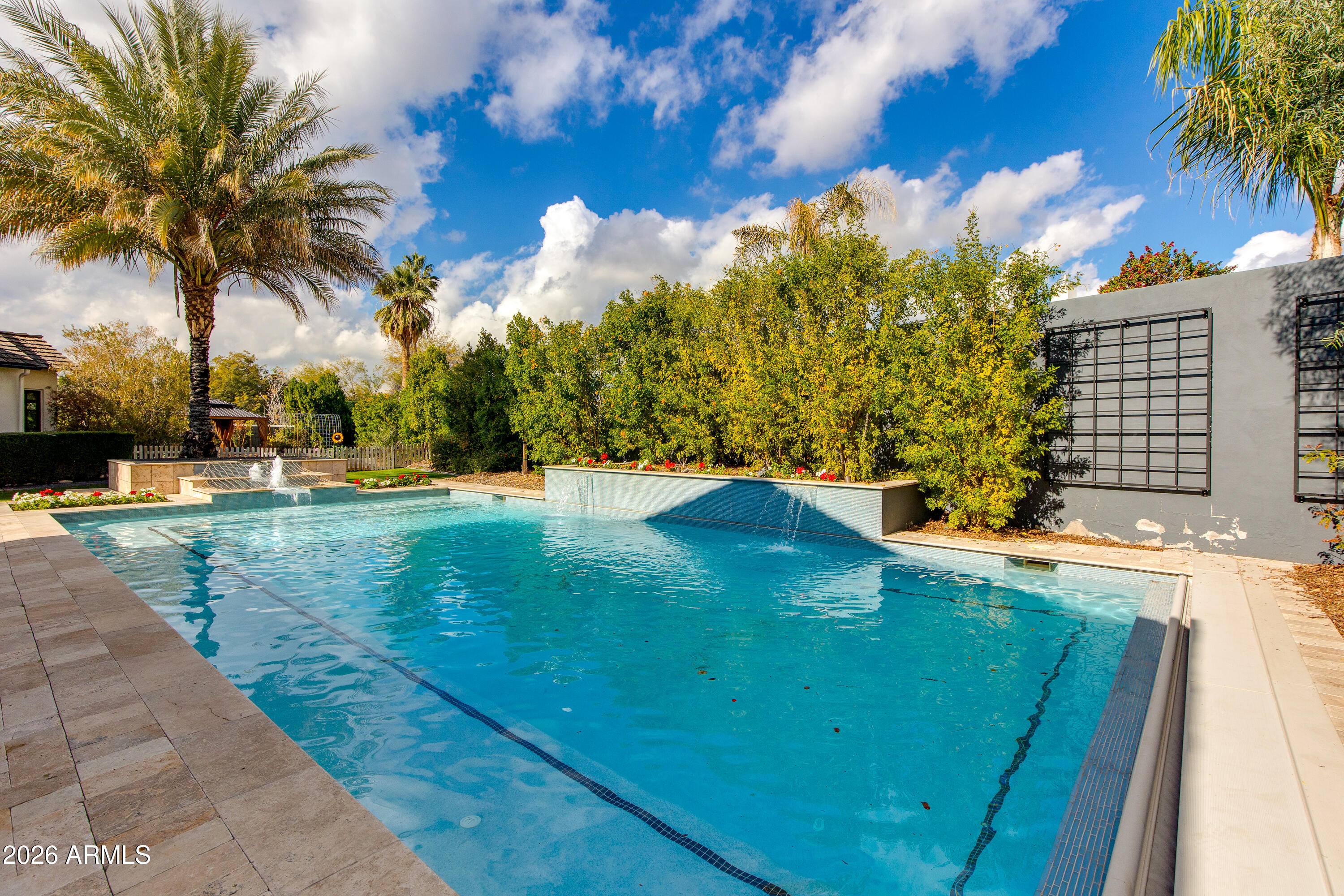 4732 North Dromedary Road Phoenix, AZ 85018 - Photo 38 of 47 Tall hedge