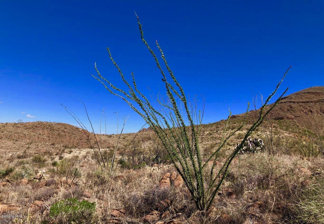 665 Grosvenor Road, Unit 115 Rio Rico, AZ 85648 - Photo 13 of 13