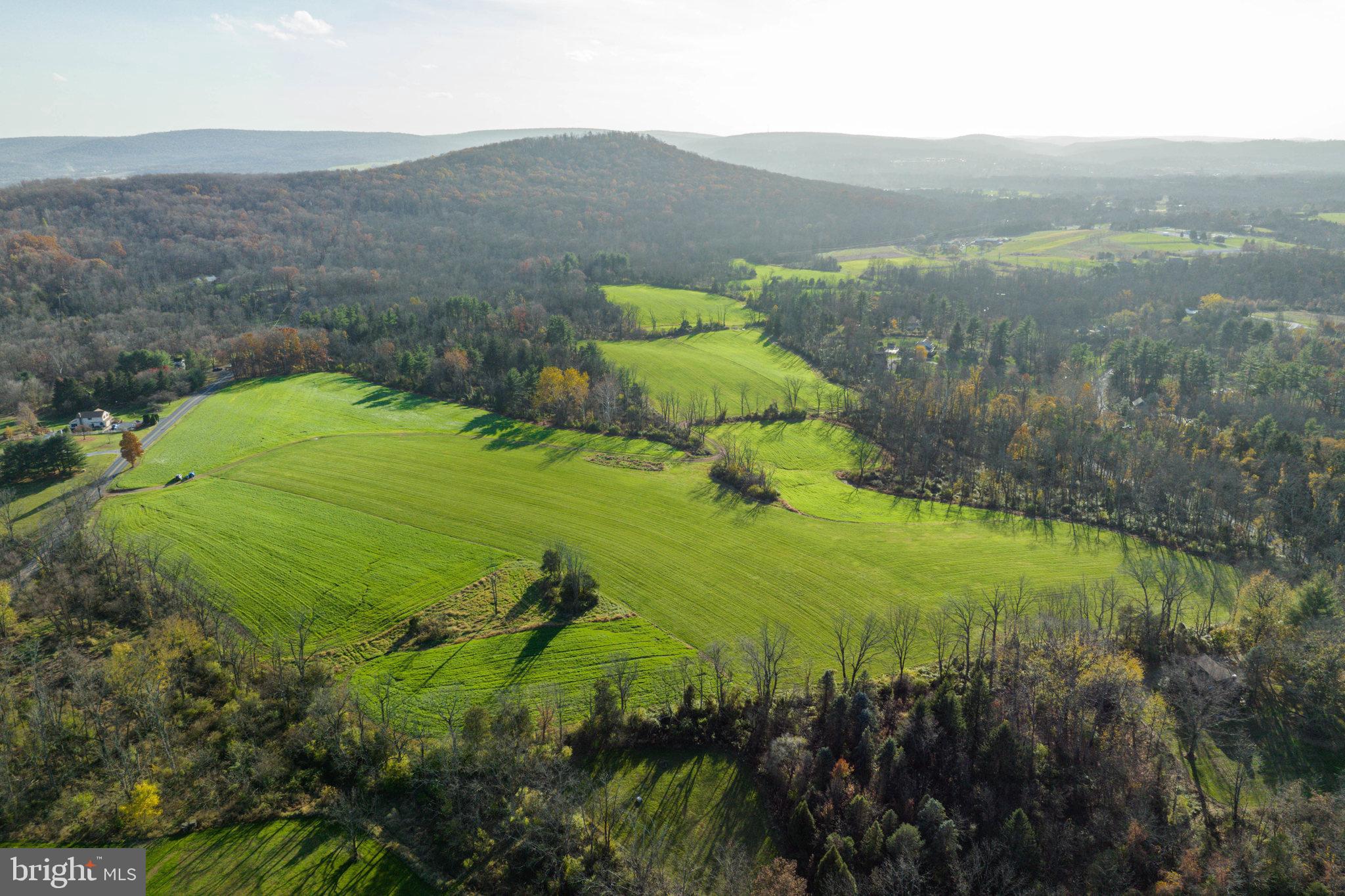 Park Road Douglassville, PA 19518 - Photo 13 of 13 a view of a lush green hillside and houses