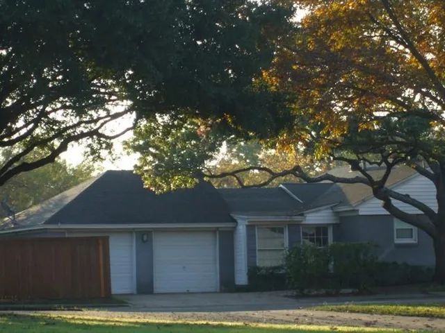 a house that has a tree in it