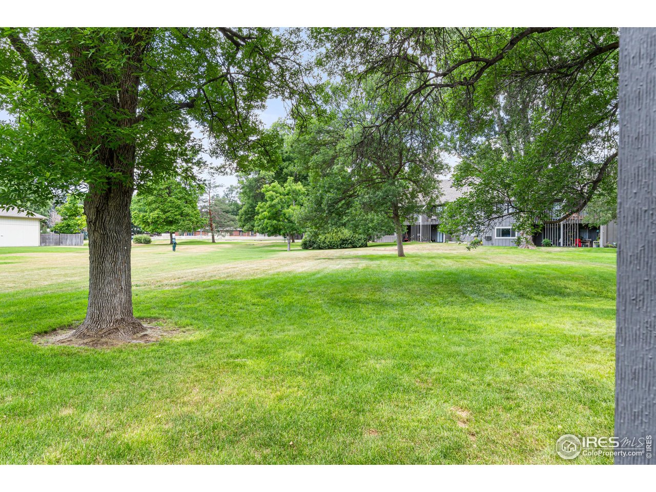 705 East Drake Road, Unit 35 Fort Collins, CO 80525 - Photo 24 of 34 a view of a grassy field with trees in the background