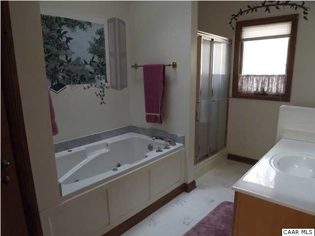 61 Dogleg Road Palmyra, VA 22963 - Photo 21 of 39 a bathroom with a tub sink and glass door