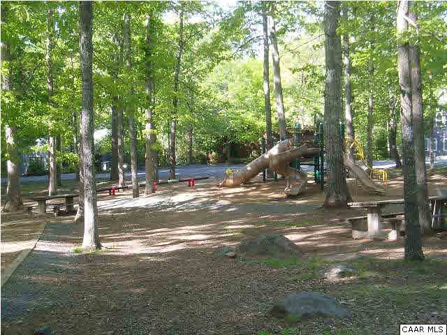 61 Dogleg Road Palmyra, VA 22963 - Photo 36 of 39 a view of a tree in the middle of a yard