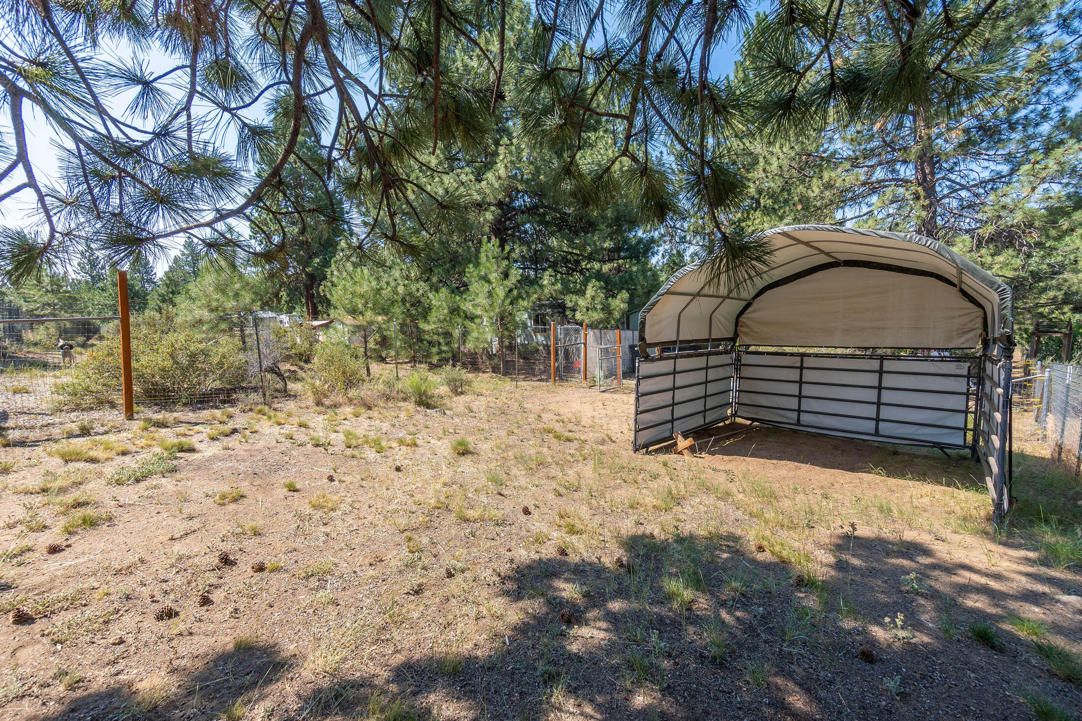 59860 Cheyenne Road Bend, OR 97702 - Photo 29 of 39 54