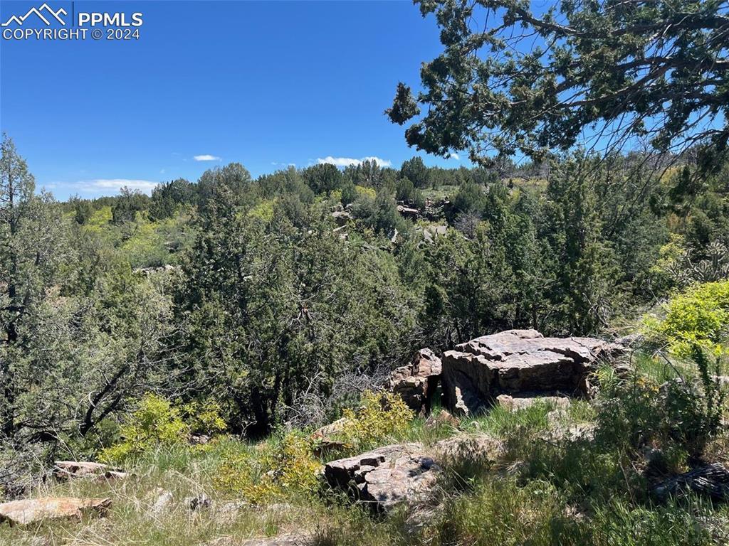 Tbd Cedarwood Road Rye, CO 81069 - Photo 4 of 5