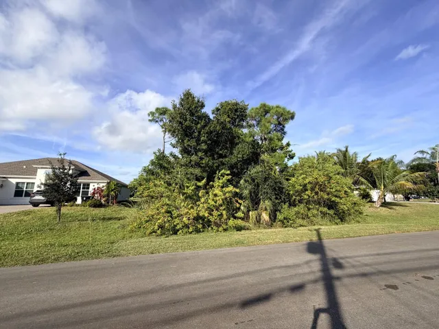 a view of a big yard with flower plants and wooden fence