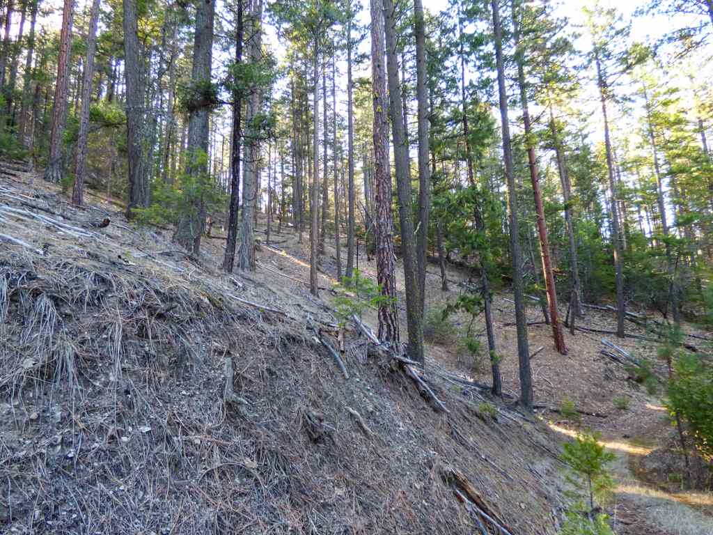 0 Greenhorn Road Yreka, CA 96097 - Photo 7 of 17 Gallery Image 7