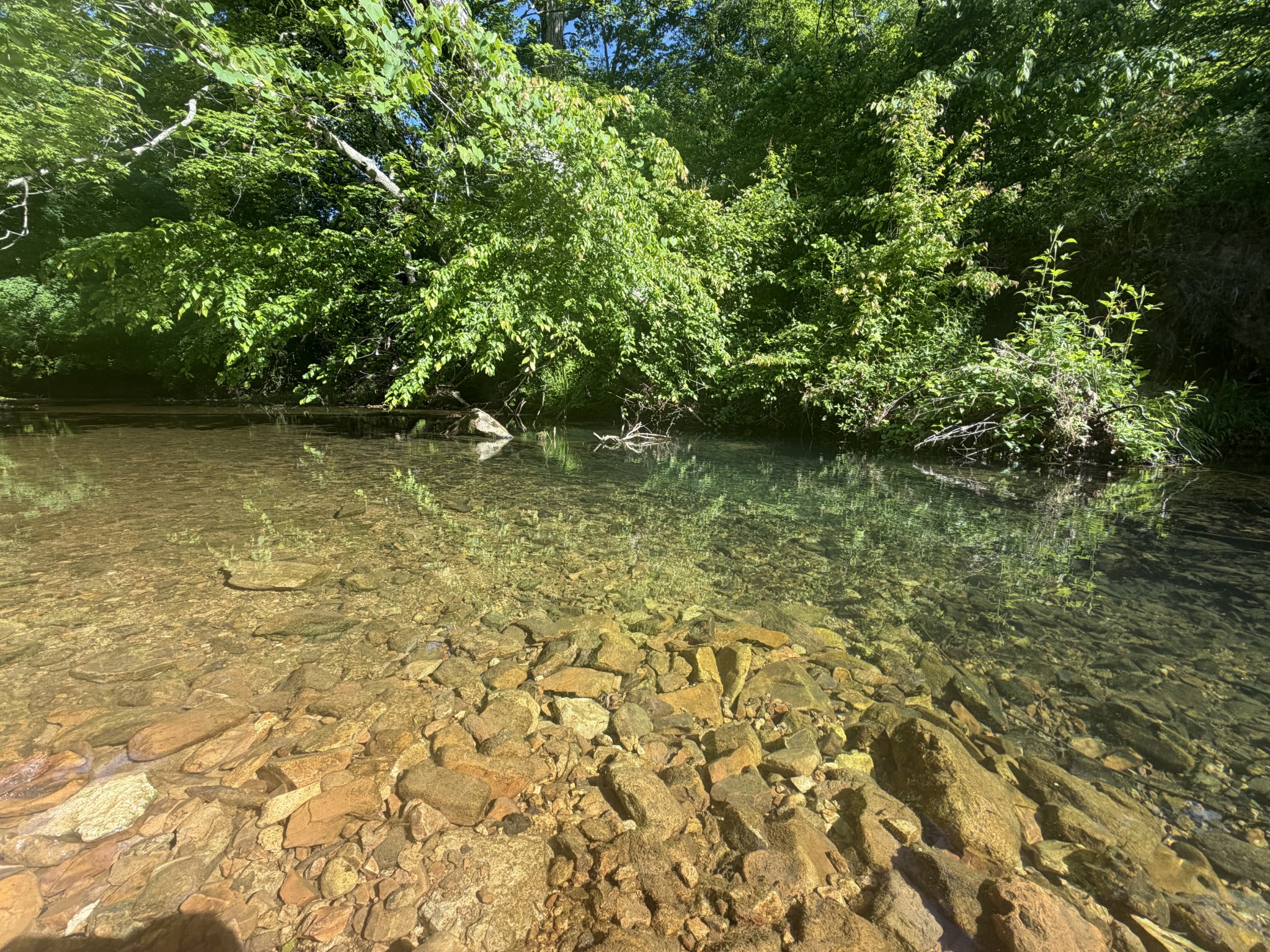 1490 Upper Standing Rock Road Dover, TN 37058 - Photo 19 of 26 a view of lake view