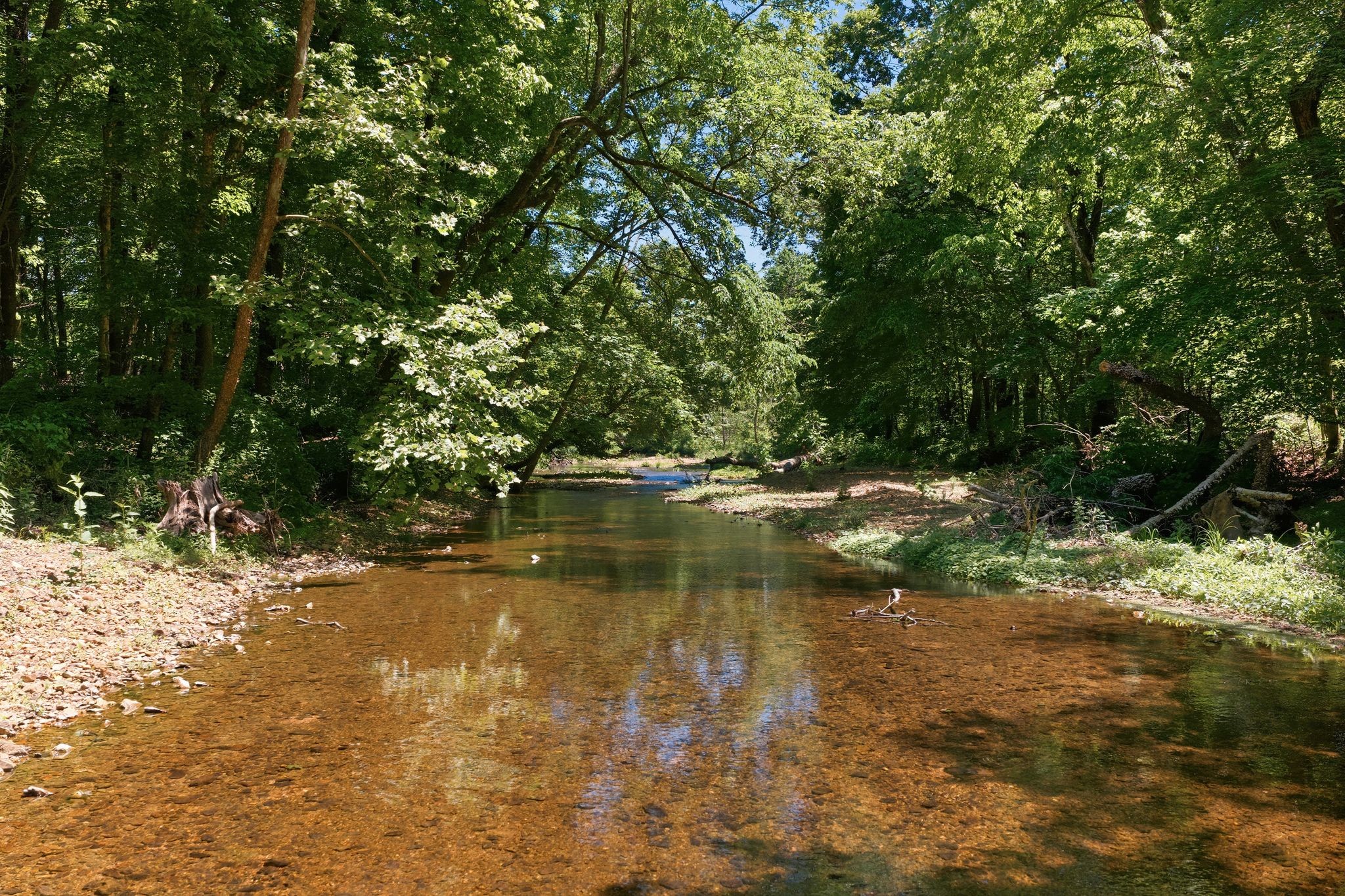 1490 Upper Standing Rock Road Dover, TN 37058 - Photo 26 of 26