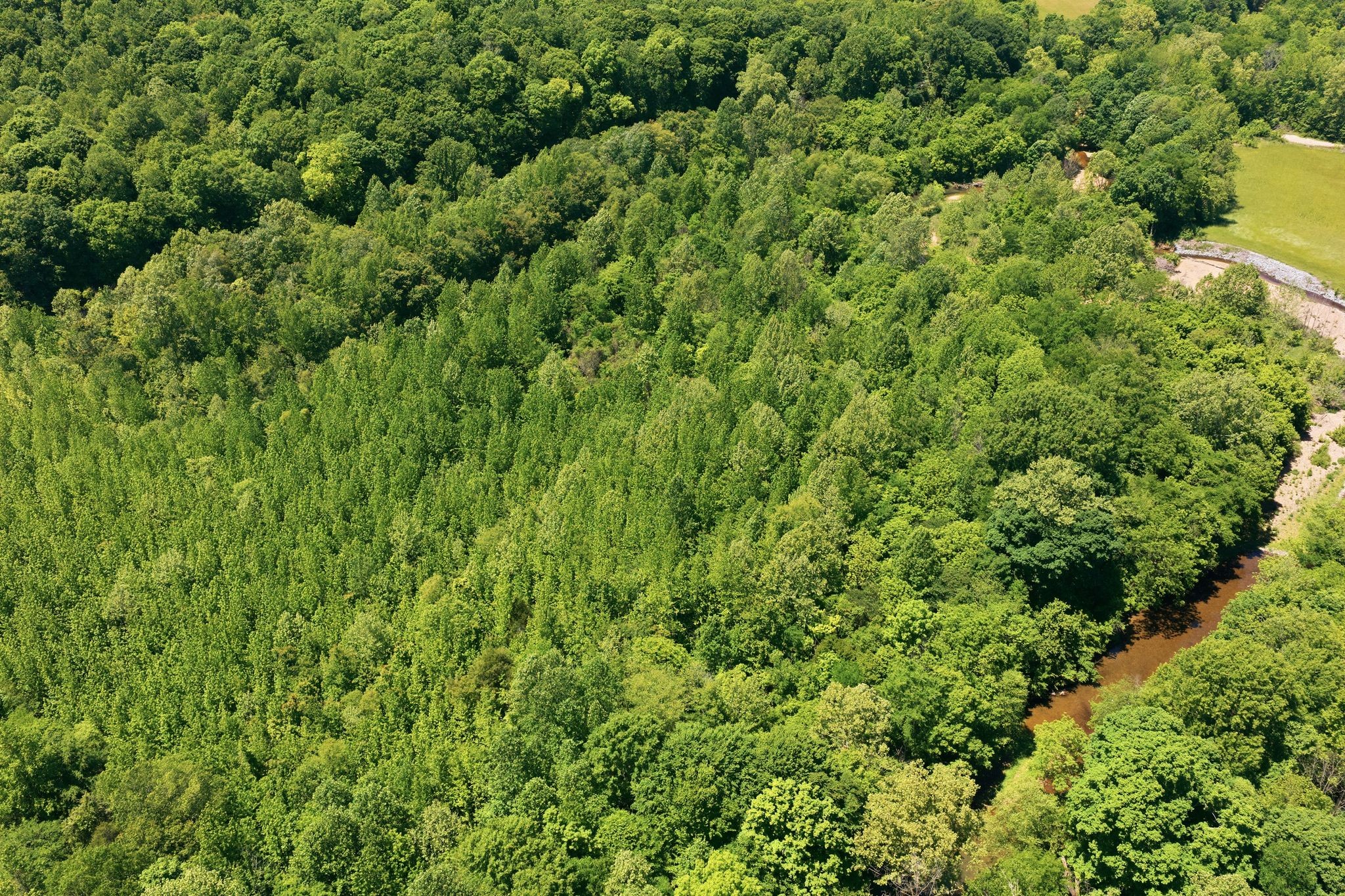 1490 Upper Standing Rock Road Dover, TN 37058 - Photo 9 of 26 a view of a lush green forest with houses