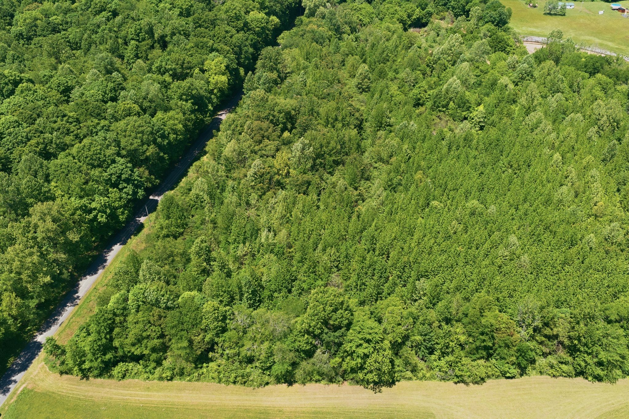 1490 Upper Standing Rock Road Dover, TN 37058 - Photo 10 of 26 a view of a yard