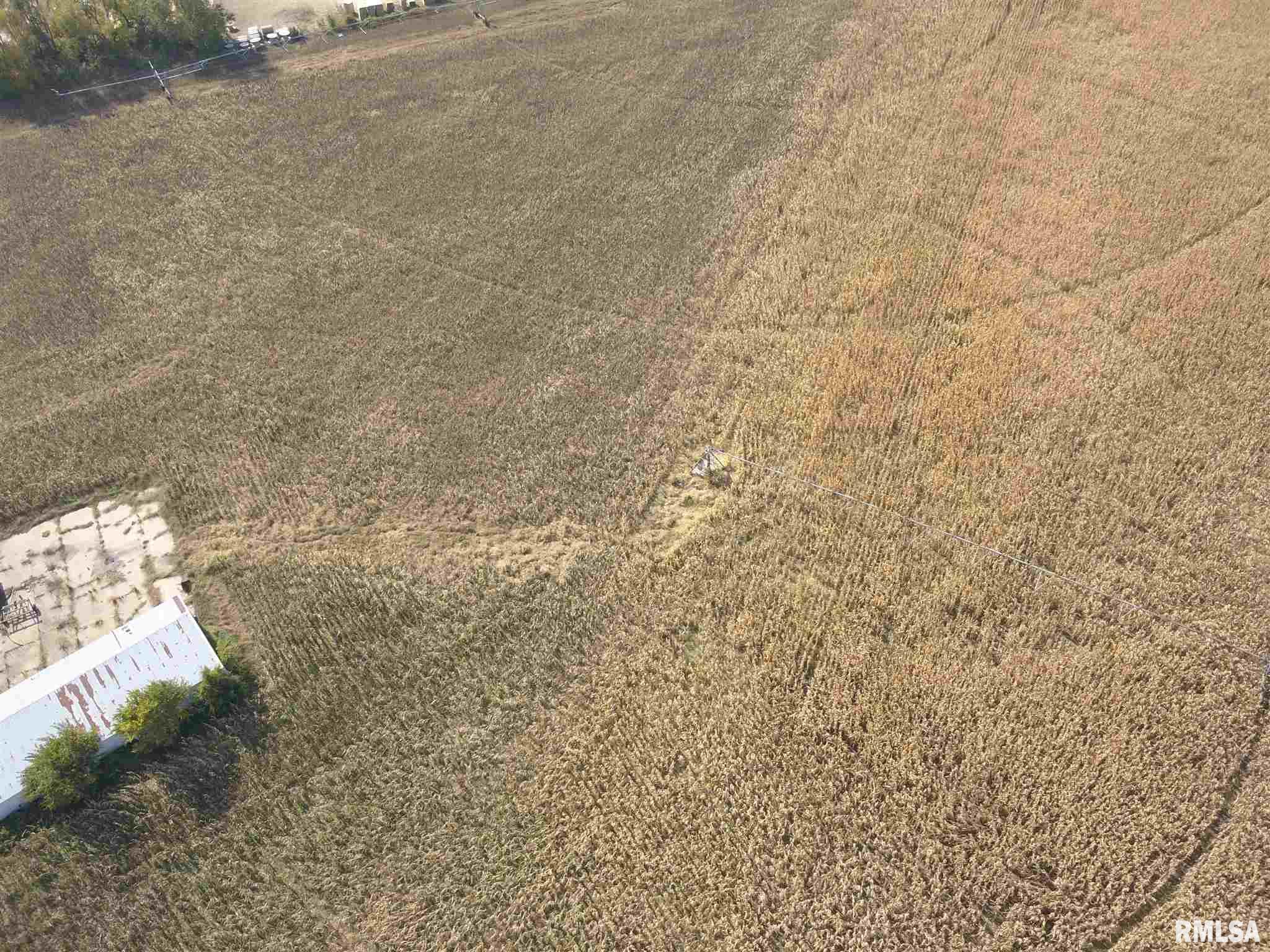 17809 Chase Road Fulton, IL 61252 - Photo 11 of 50
