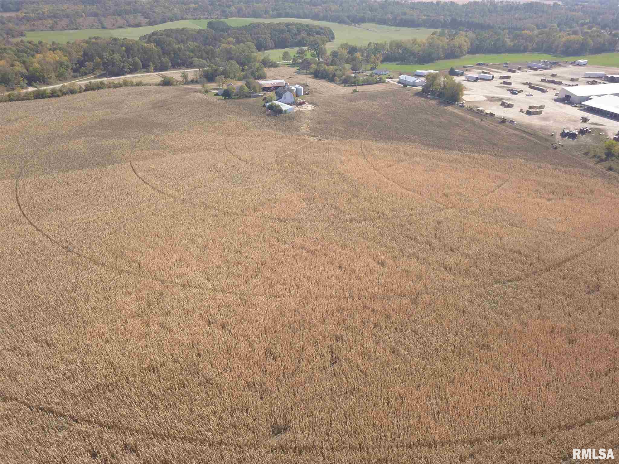 17809 Chase Road Fulton, IL 61252 - Photo 17 of 50