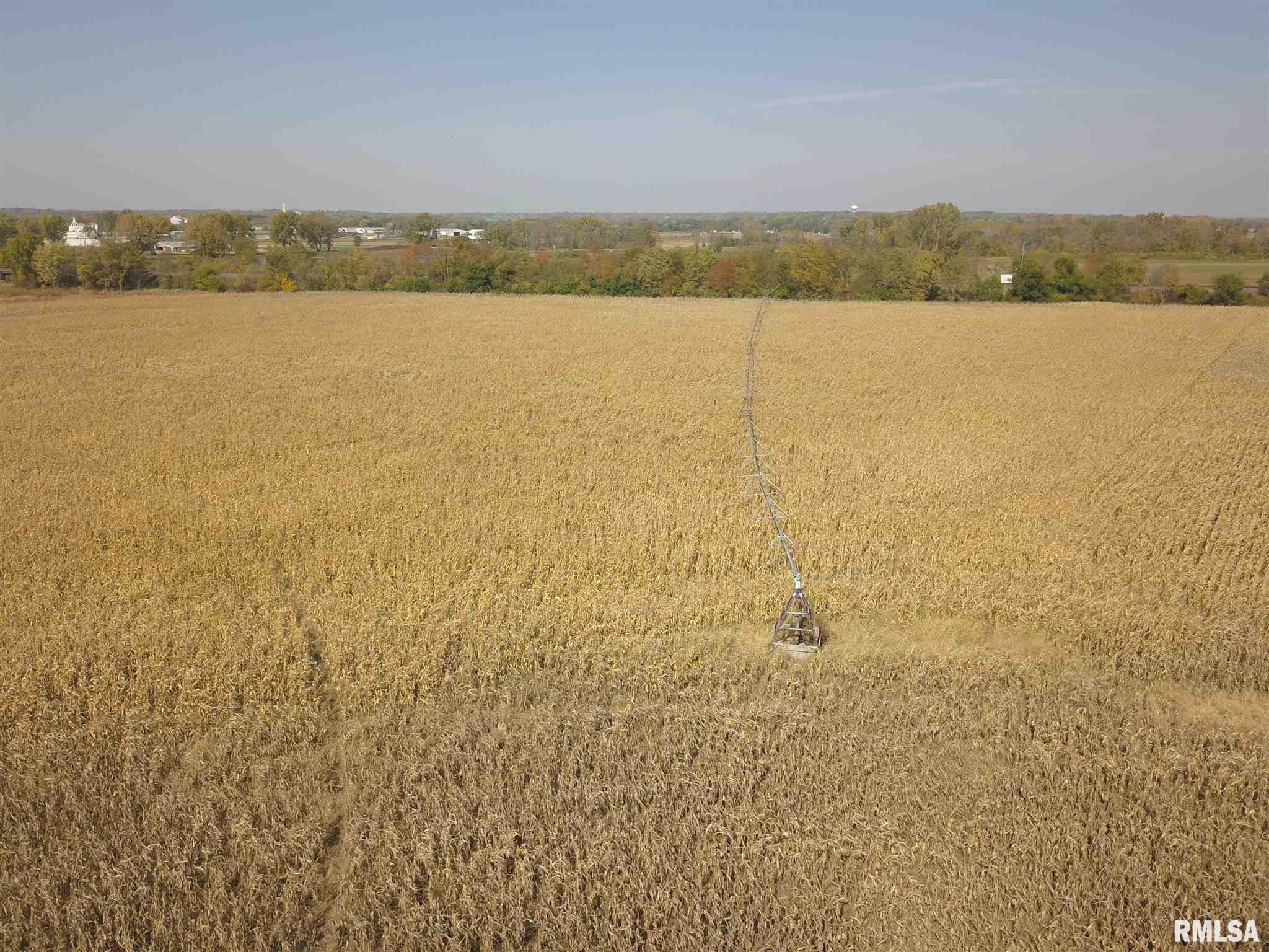 17809 Chase Road Fulton, IL 61252 - Photo 26 of 50