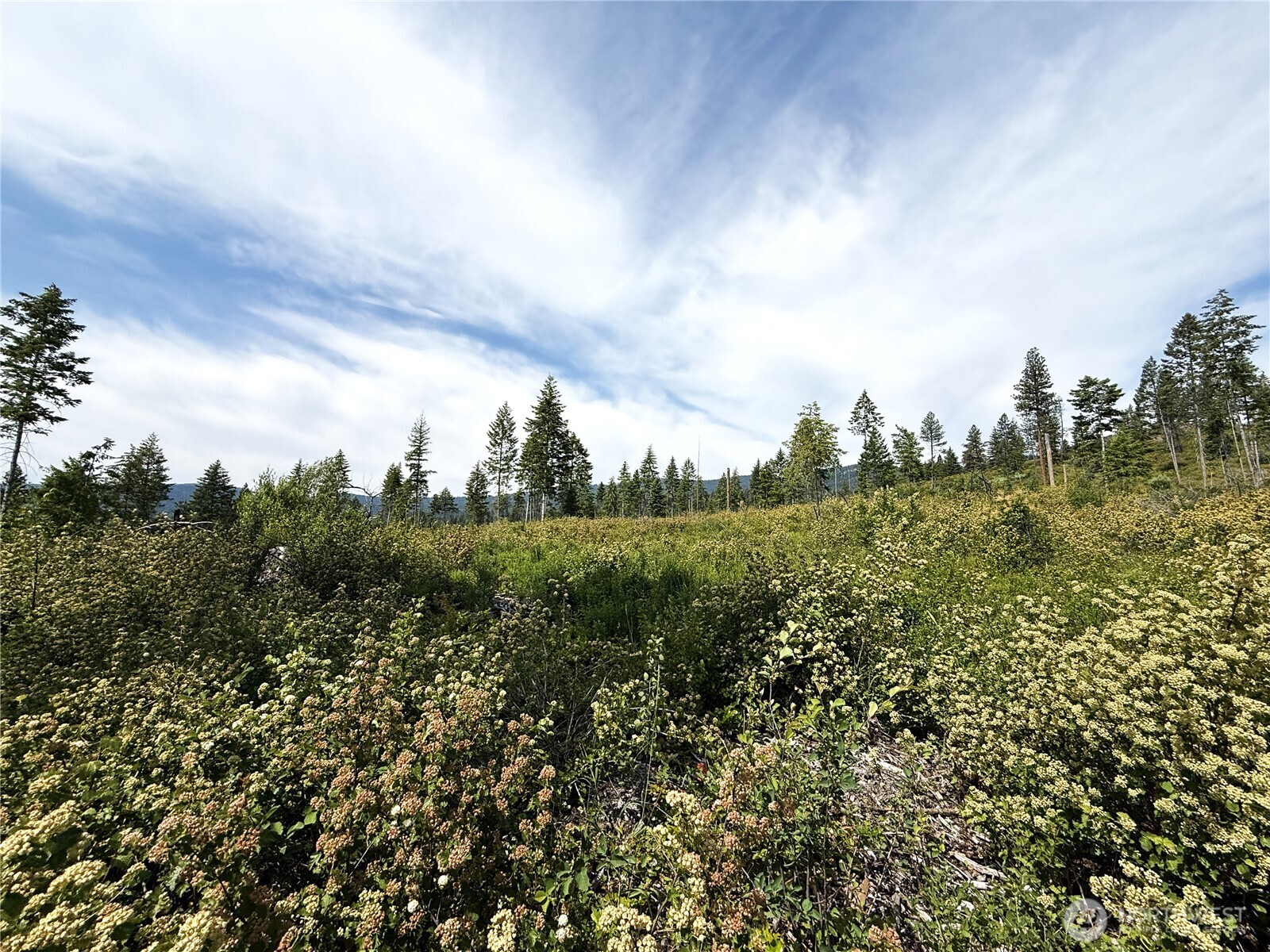 1 Rockabye Lane Curlew, WA 99118 - Photo 6 of 8 a view of a city