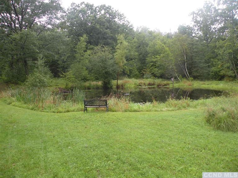 335 Hill Top Road Gallatin, NY 12502 - Photo 3 of 9 Photo 3