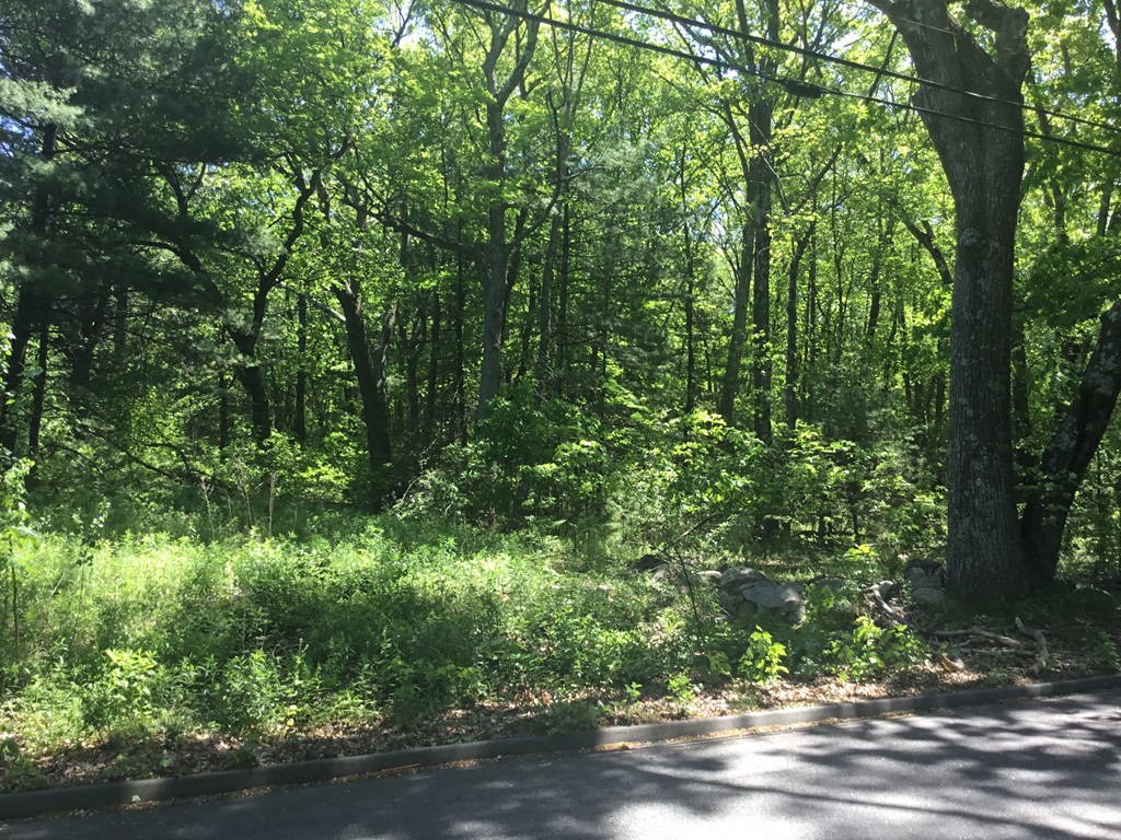 16 Old North Road Hudson, MA 01749 - Photo 2 of 2 Gallery Image 2