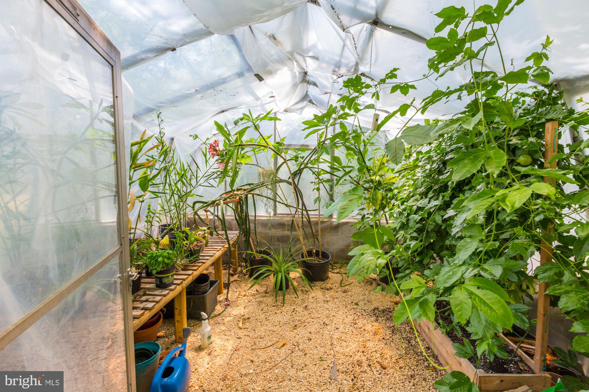 15400 Layhill Road Silver Spring, MD 20906 - Photo 30 of 42 Green thumb!